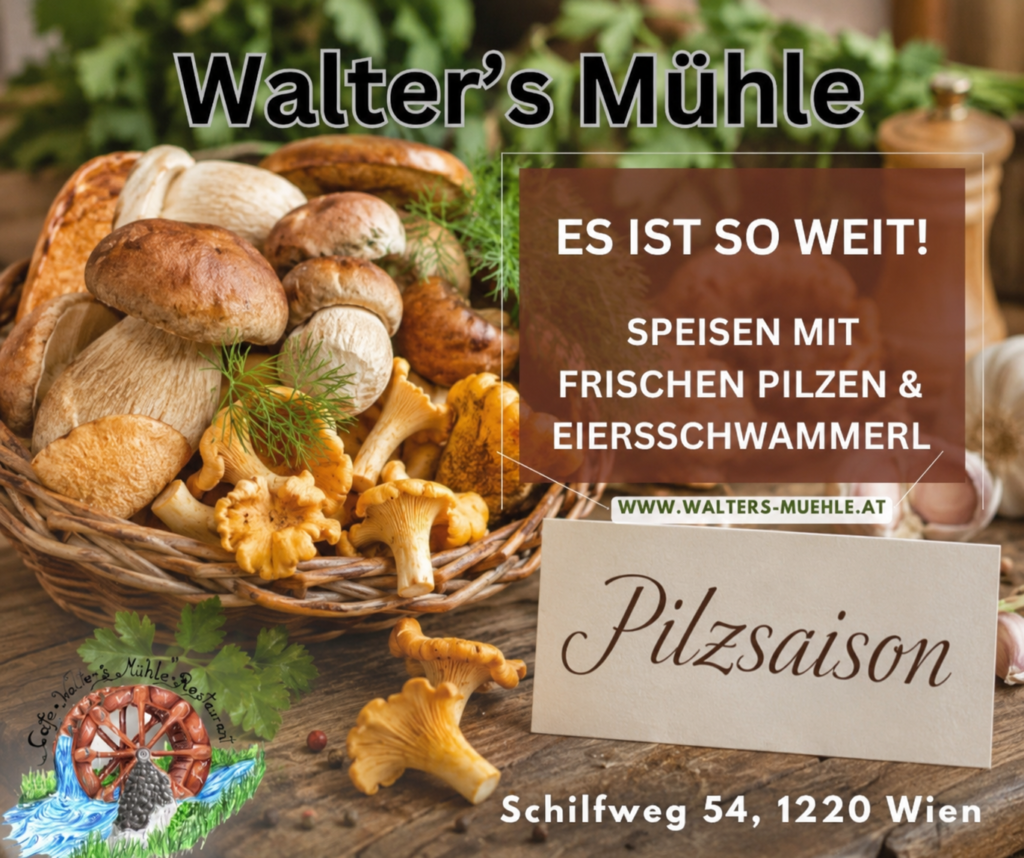 Pilze und Eierschwammerl